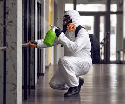 Trusted Diamond, MO Mold Removal Experts